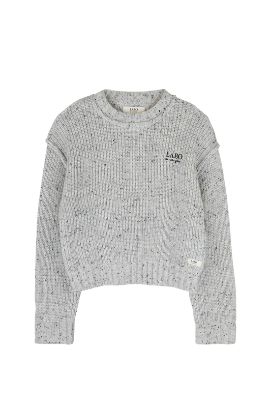 Trui Labo de colores Lennart - Grijs melange